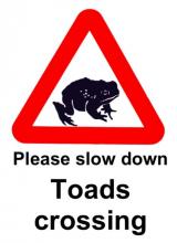 toad crossing sign