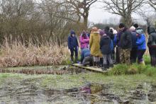 Pond dipping for pond watch training 2019